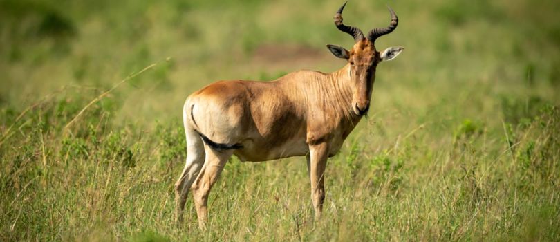 Kamuku National Park