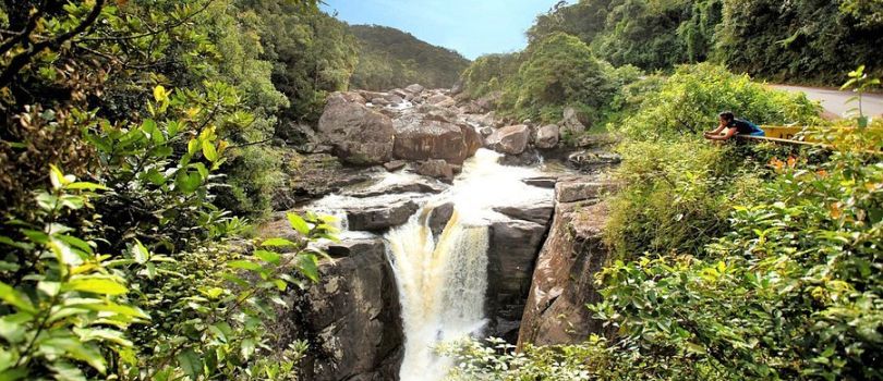 Ranomafana National Park
