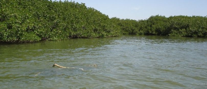 Niumi National Park