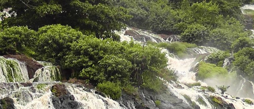 Ivindo National Park