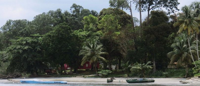 Akanda National Park