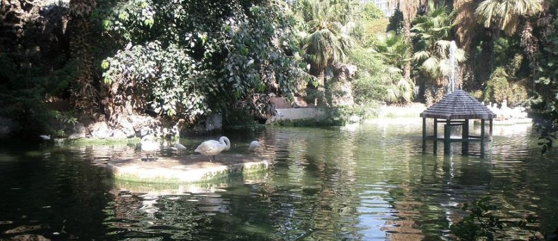 Giza Zoo
