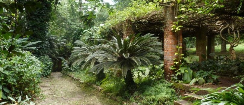 Kisantu Botanical Gardens