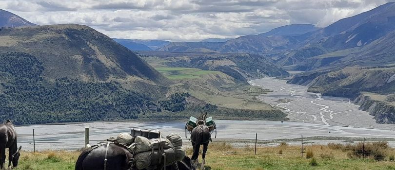 Alpine Horse Safaris