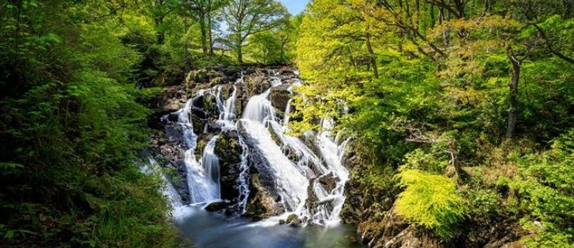 Swallow Falls