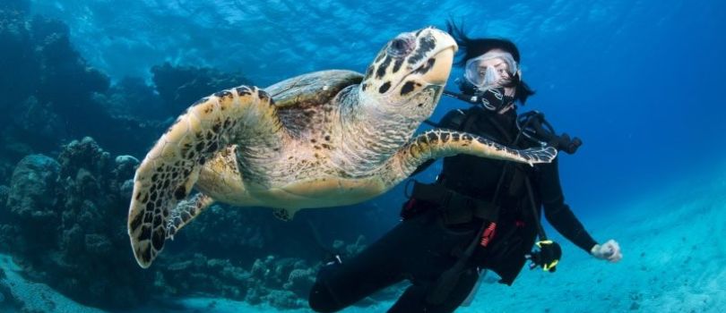 Scuba Diving in Marsa Alam