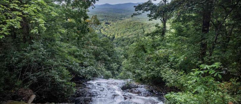 Collins Mountain(Dahlonega)