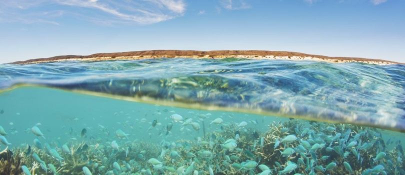 Ningaloo Marine Park