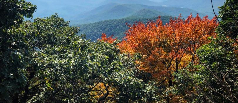Blood Mountain