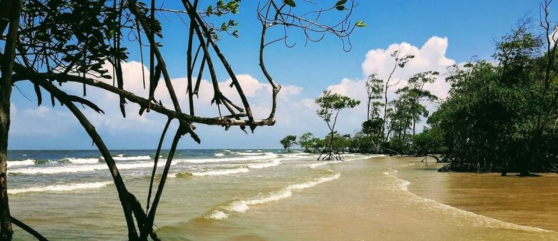 Barra Velhas Brazil Beach
