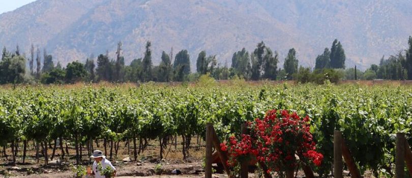 Pomaire and Maipo Valley