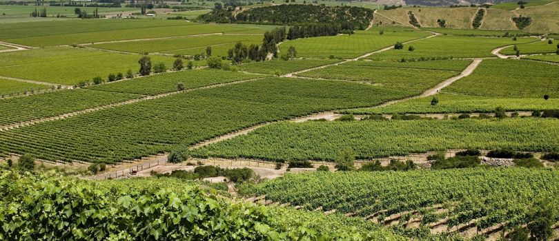 Colchagua Valley
