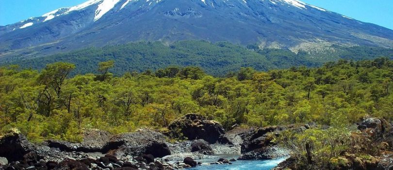 Vicente Perez Rosales National Park
