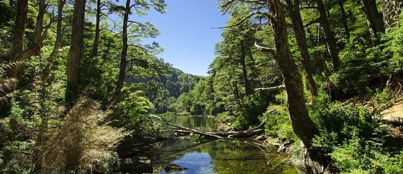 Huerquehue National Park