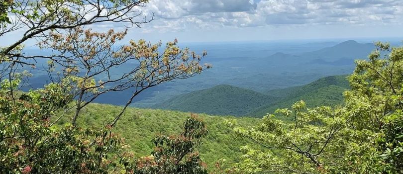 Alerce Andino National Park