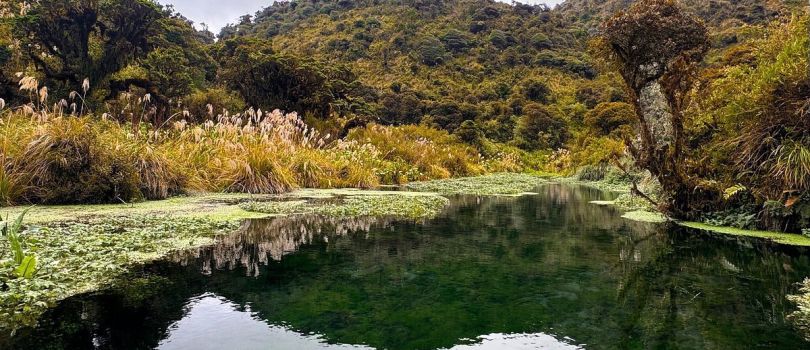 Purace National Park