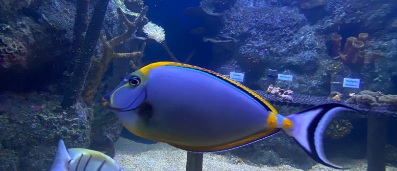 Top Tourist Places To Visit in Pointe Aux Piments