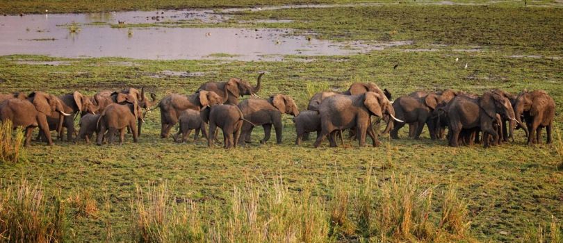 Liwonde National Park