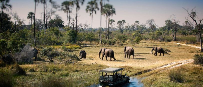 Chobe National Park