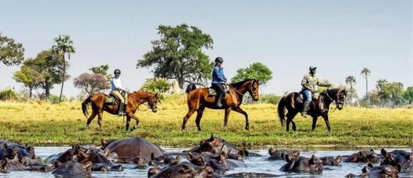 Top Tourist Places To Visit in Okavango Delta