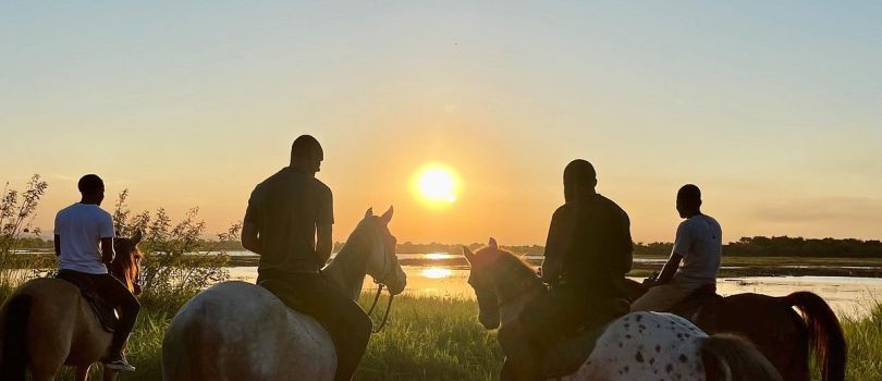 Nyika Horse Safaris