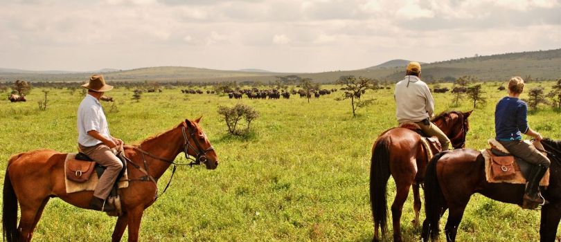 Borana Horse Safari