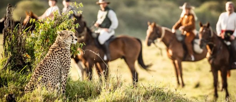 Offbeat Horse Safaris
