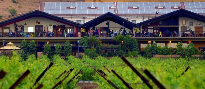 Sula Vineyards
