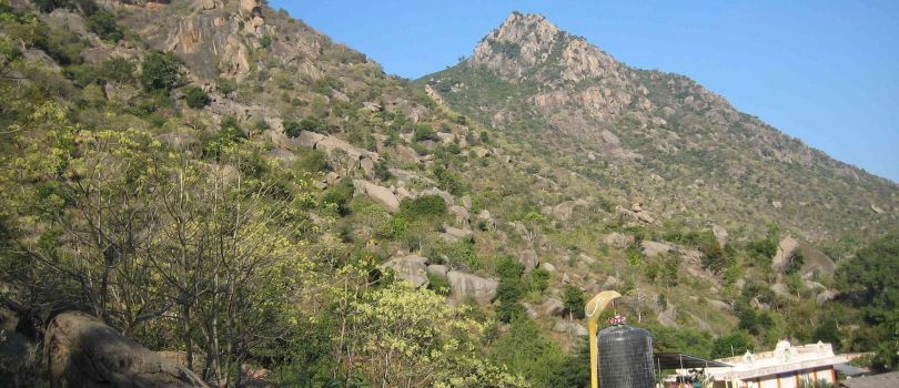 Yelagiri Hills
