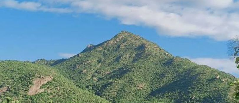 Tiruvannamalai Hill