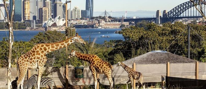 Taronga Zoo