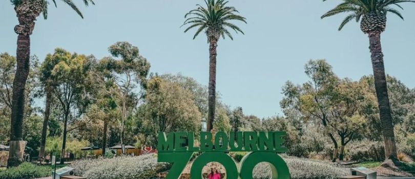 Melbourne Zoo