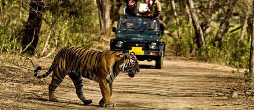 Rajaji National Park