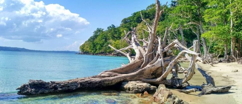 Eight Days Andaman Tour