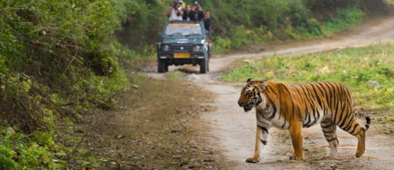 Jim Corbett National Park