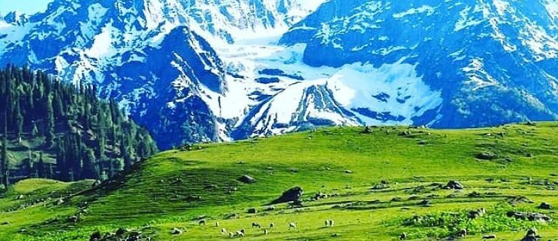 Leh Tour