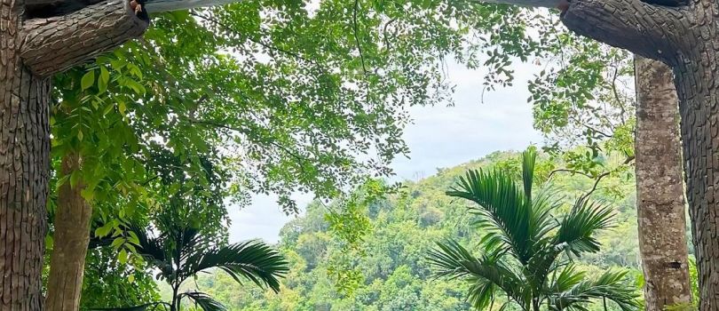 Neyyar Wildlife Sanctuary