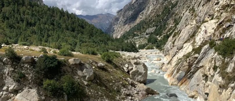 Gangotri National Park