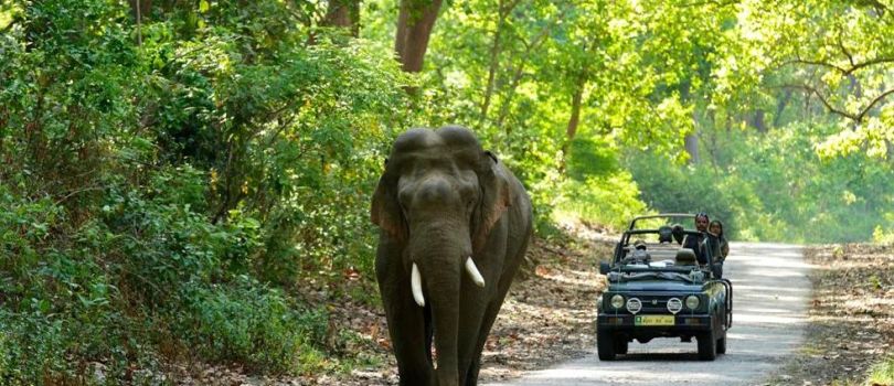 Jim Corbett National Park
