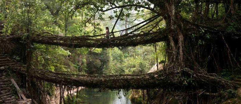 7 Days Meghalaya Tour Package