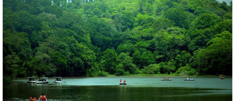 Pookode Lake