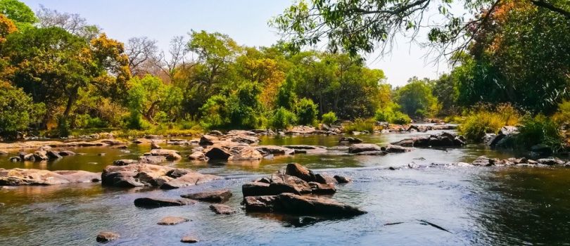 Holidays in Wayanad: 3 Nights 4 Days Tour