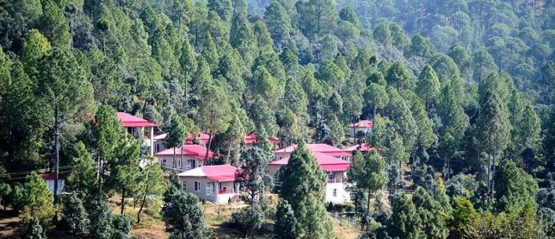 Top Tourist Places To Visit in Ranikhet