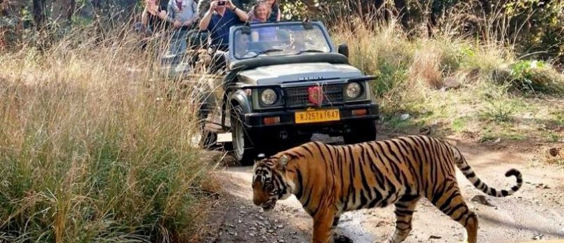 Ranthambore National Park