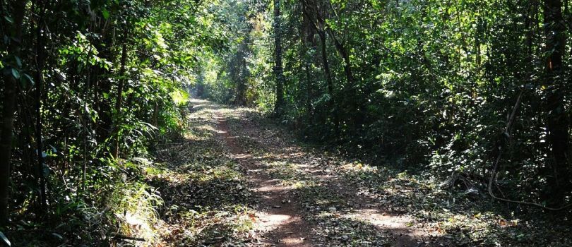 Cotigao Wildlife Sanctuary