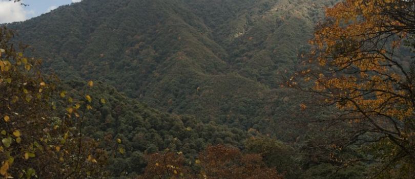 Eaglenest Wildlife Sanctuary