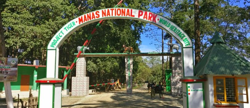 Manas National Park