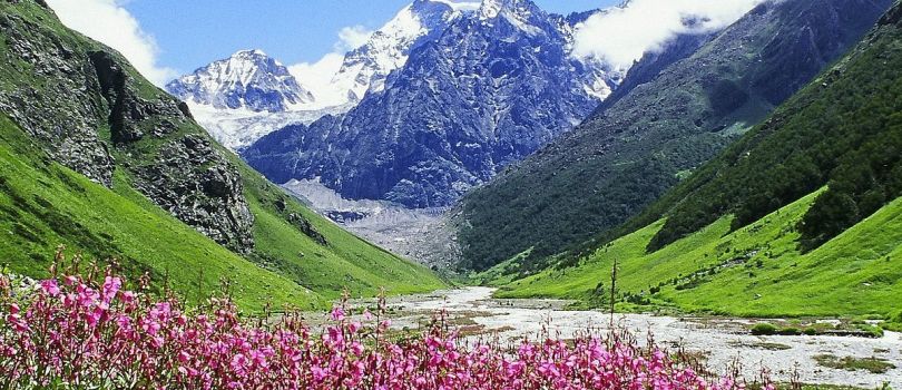 Valley of Flowers National Park