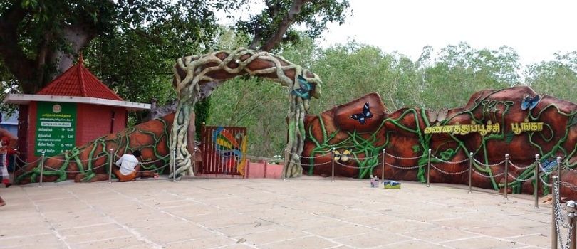 Butterfly Park