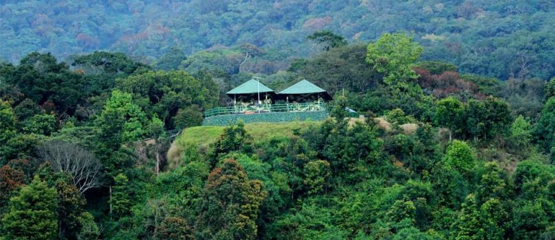 Pampadam Shola National Park